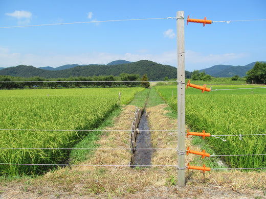 電気柵の設置方法とは?害獣対策のポイントと注意点をご紹介