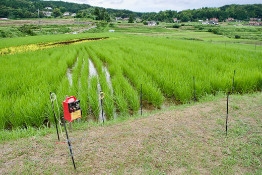 電気柵の仕組みを徹底解説!効果的な設置方法や選び方も紹介