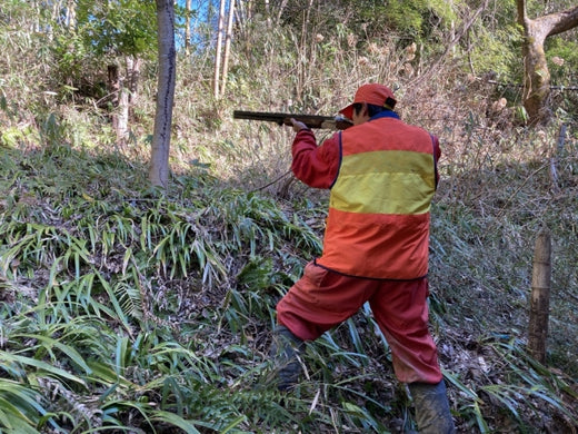 狩猟免許の取得方法は?試験を受ける際の流れや費用なども紹介