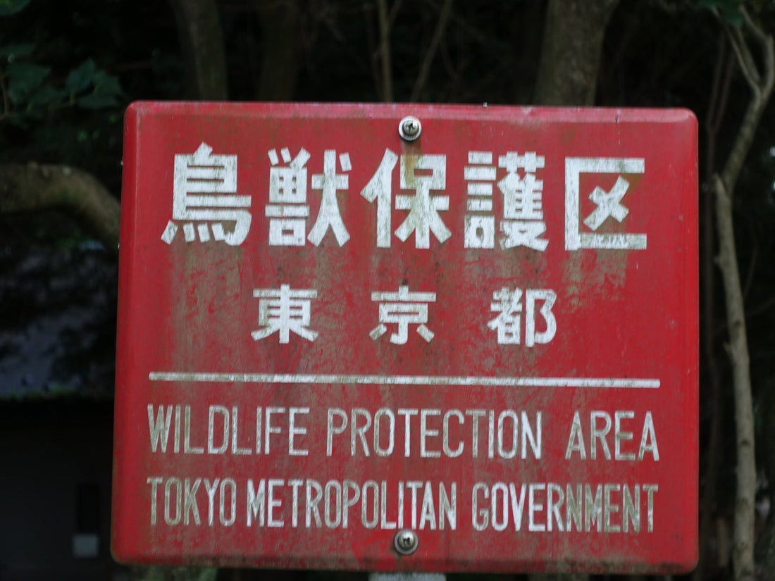 有害鳥獣駆除には資格が必要!狩猟免許の種類・取得方法と法的ルールを徹底解説