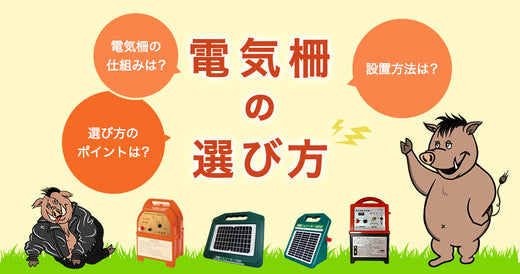 【これで解決!】電気柵の仕組みや設置方法、選び方のポイントまでまとめて解説