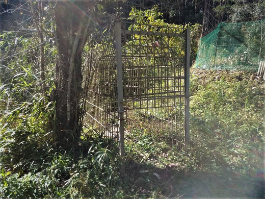 イノシシ捕獲~箱罠の設置・見回りをしよう
