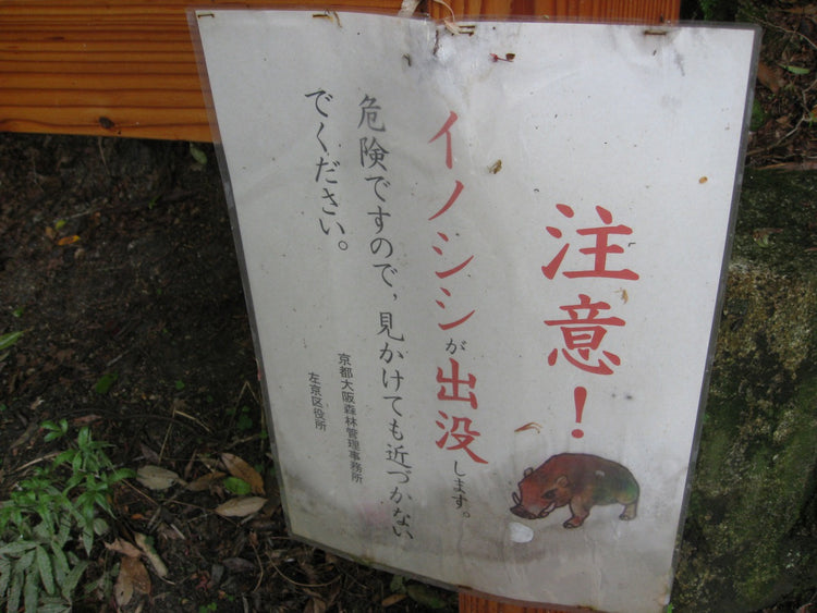 名所における鳥獣被害の現状