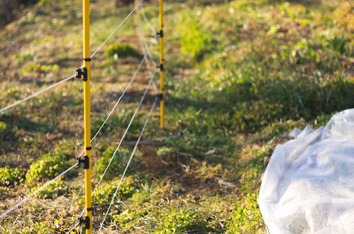 電気柵の支柱の選び方は?素材の特徴や設置方法についても解説