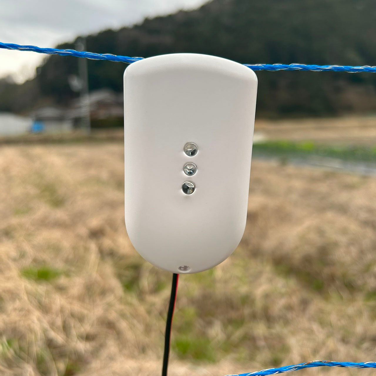電気柵の通電状況が一目で確認可能。フェンス・フラッシュ3(電気柵安全表示灯)