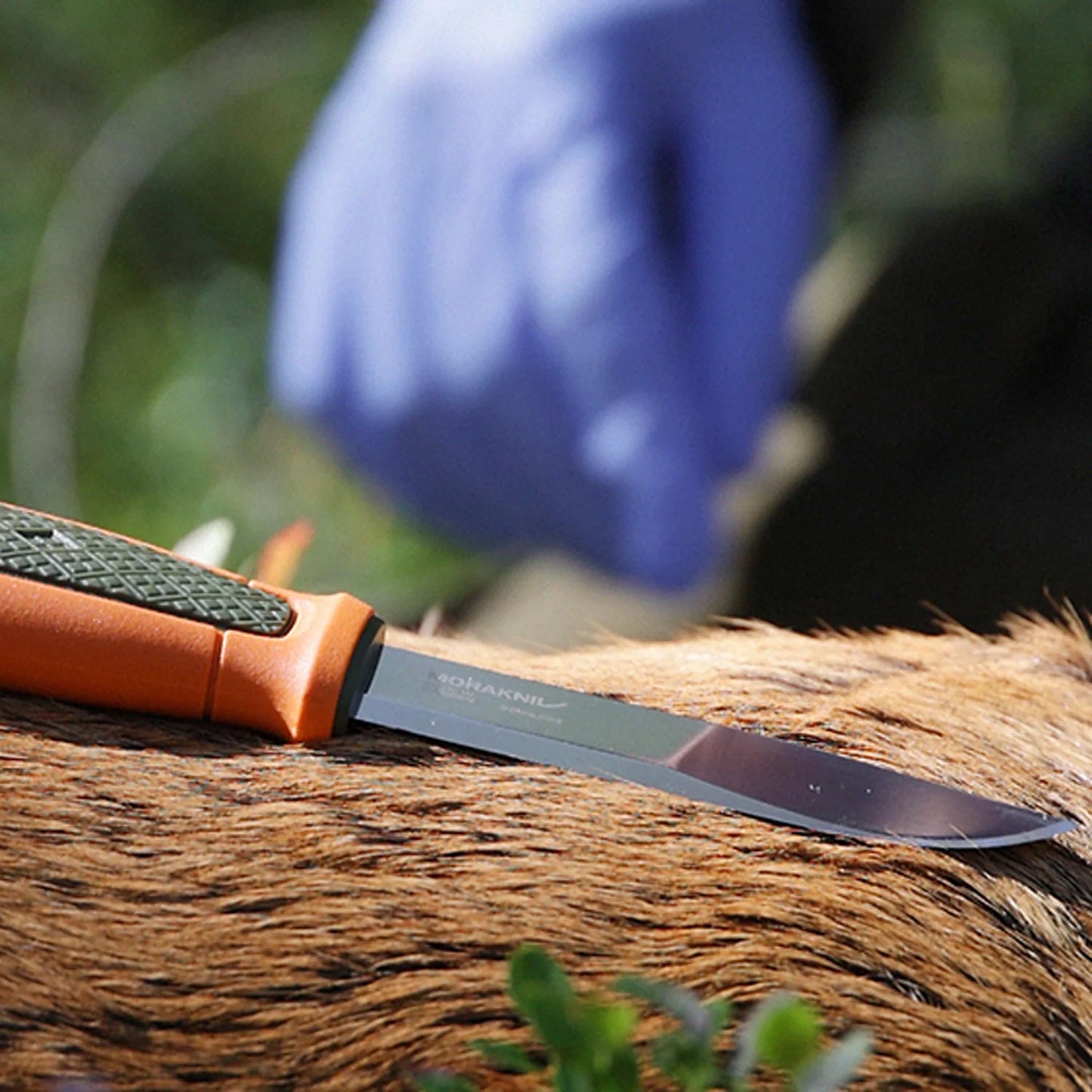 モーラナイフ カンスボル ハンティング(S)/ MORAKNIV KANSBOL HUNTING (S)