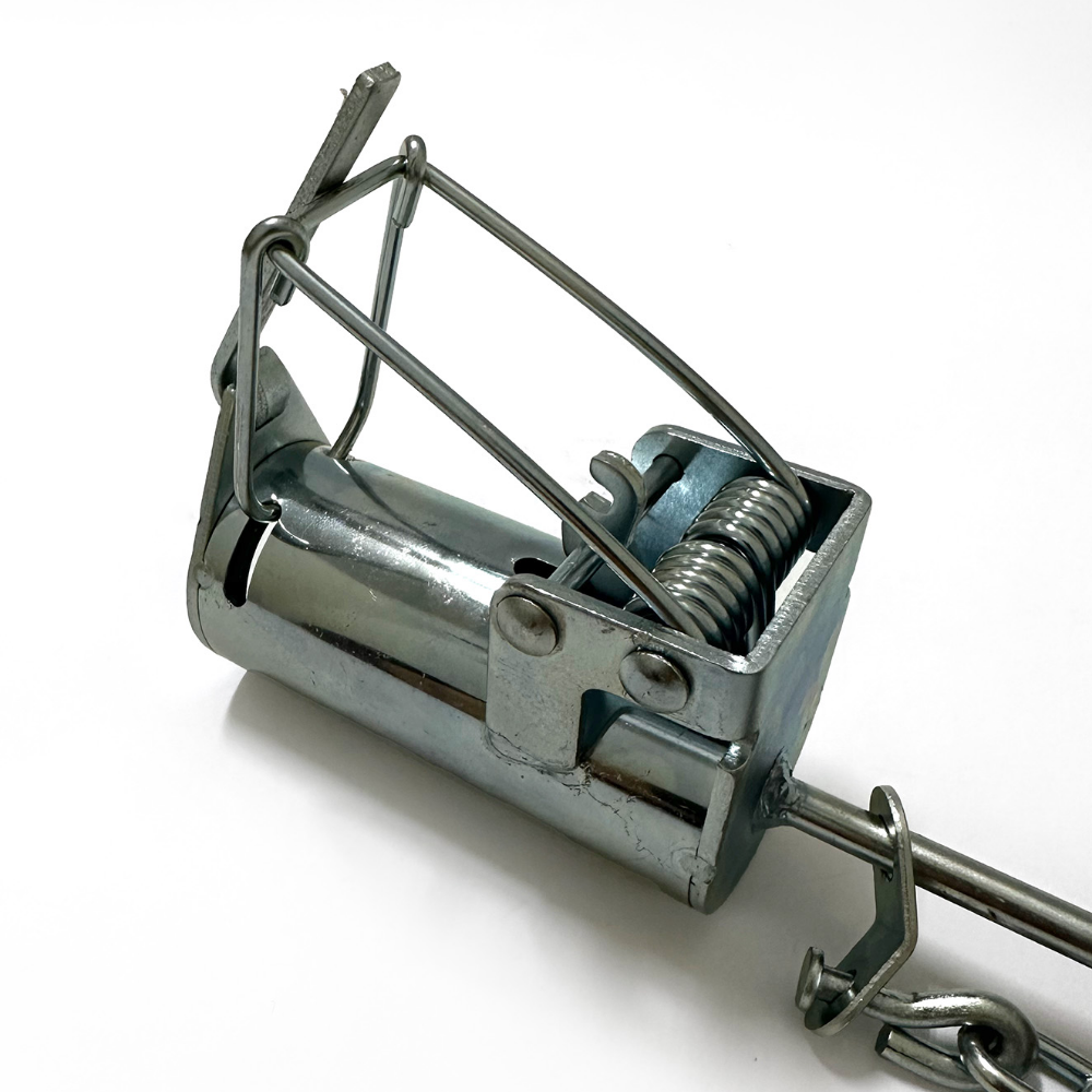 アライグマ捕獲器