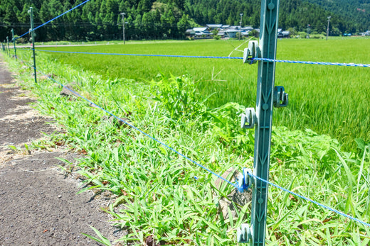 電気柵の正しい結び方を徹底解説！ワイヤーの種類と選び方も紹介