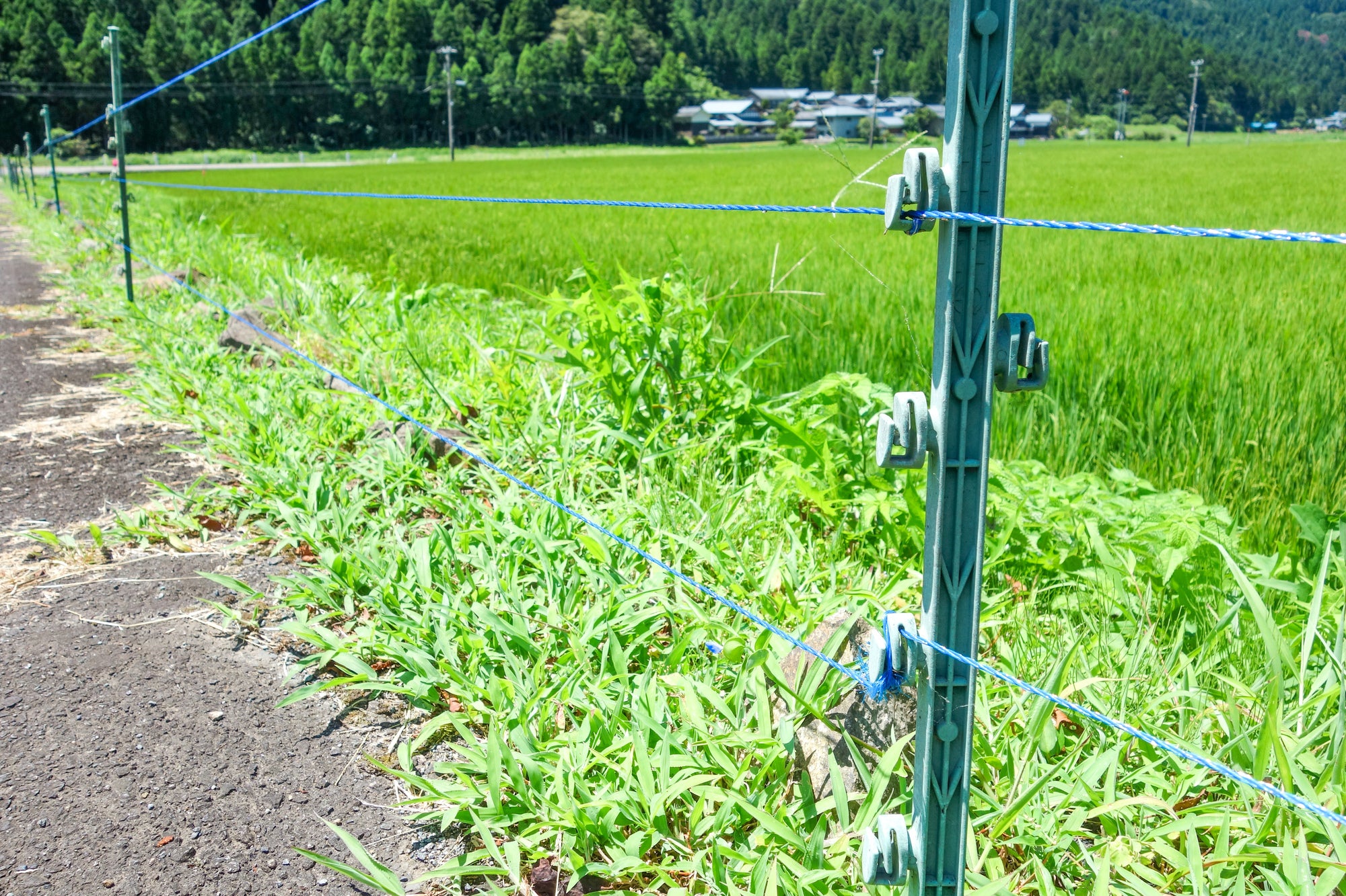 みのる産業 半自動野菜移植機 VT-20 – イノホイ オンラインショップ