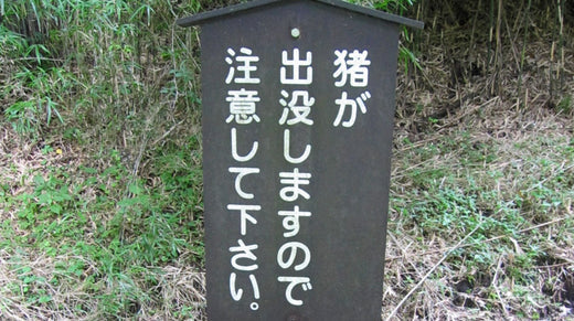 イノシシの防除・駆除の基本を説明します。