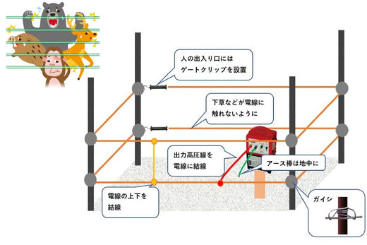 電気柵の効果と電源の種類、ソーラー電源のメリットを解説