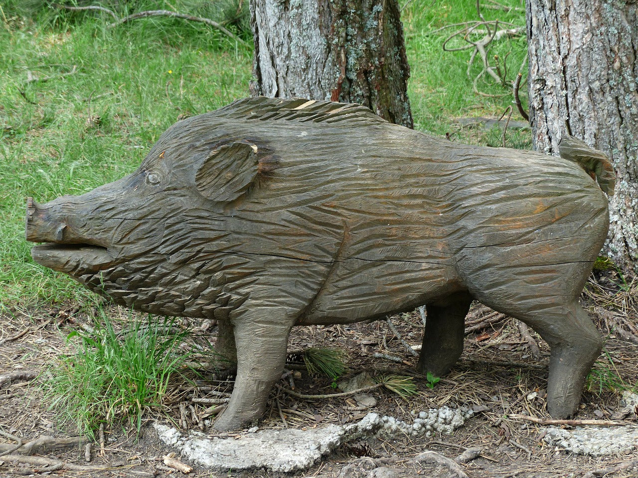 イノシシ捕獲用の低コスト簡易型箱わな - 福岡県のその他