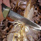 モーラナイフ コンパニオン (C) / MORAKNIV COMPANION (C)