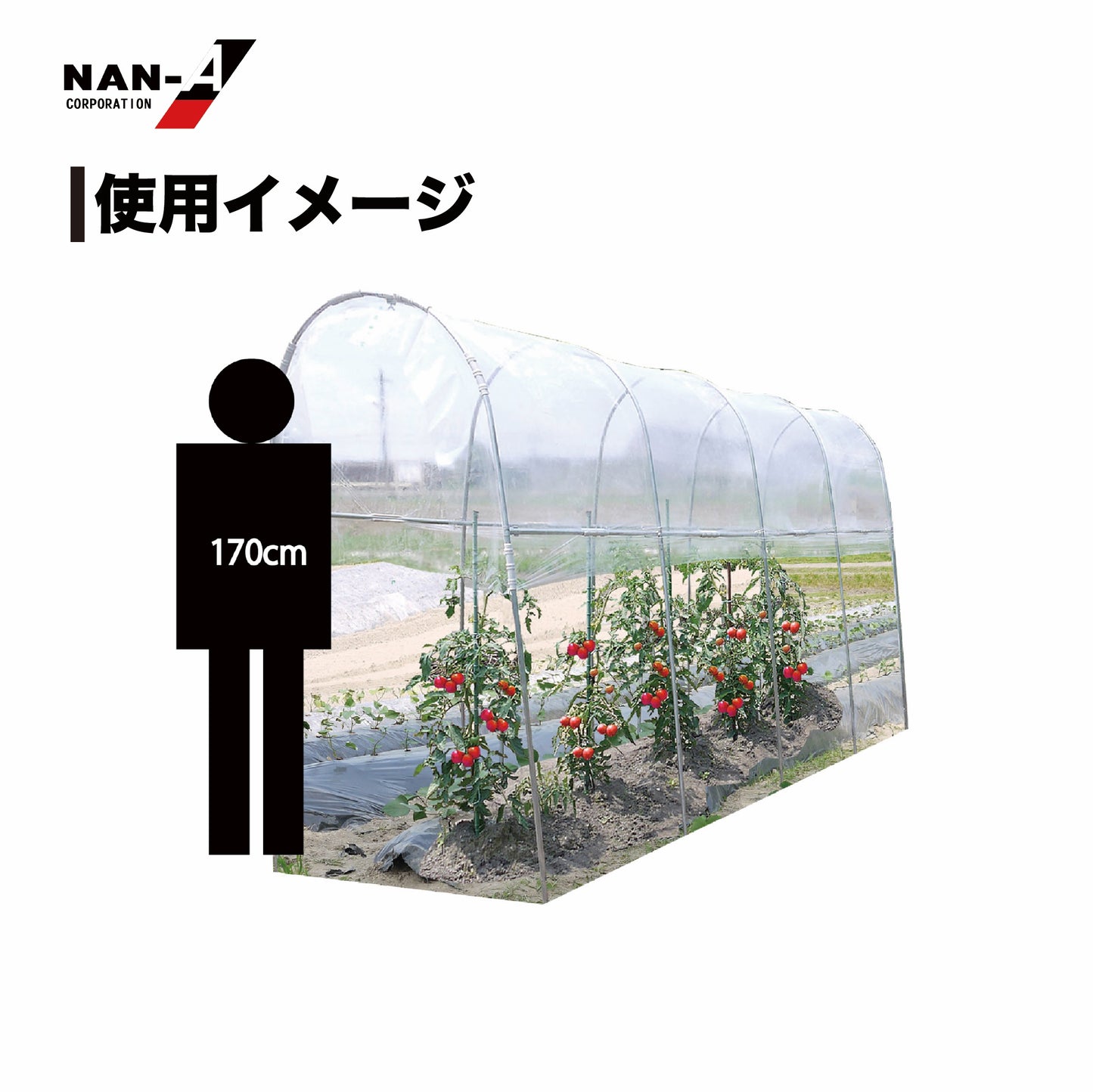 4984665309639 雨よけハウス 1畝用 AM1235型（W:1200 × D:3560 × T:2190mm）