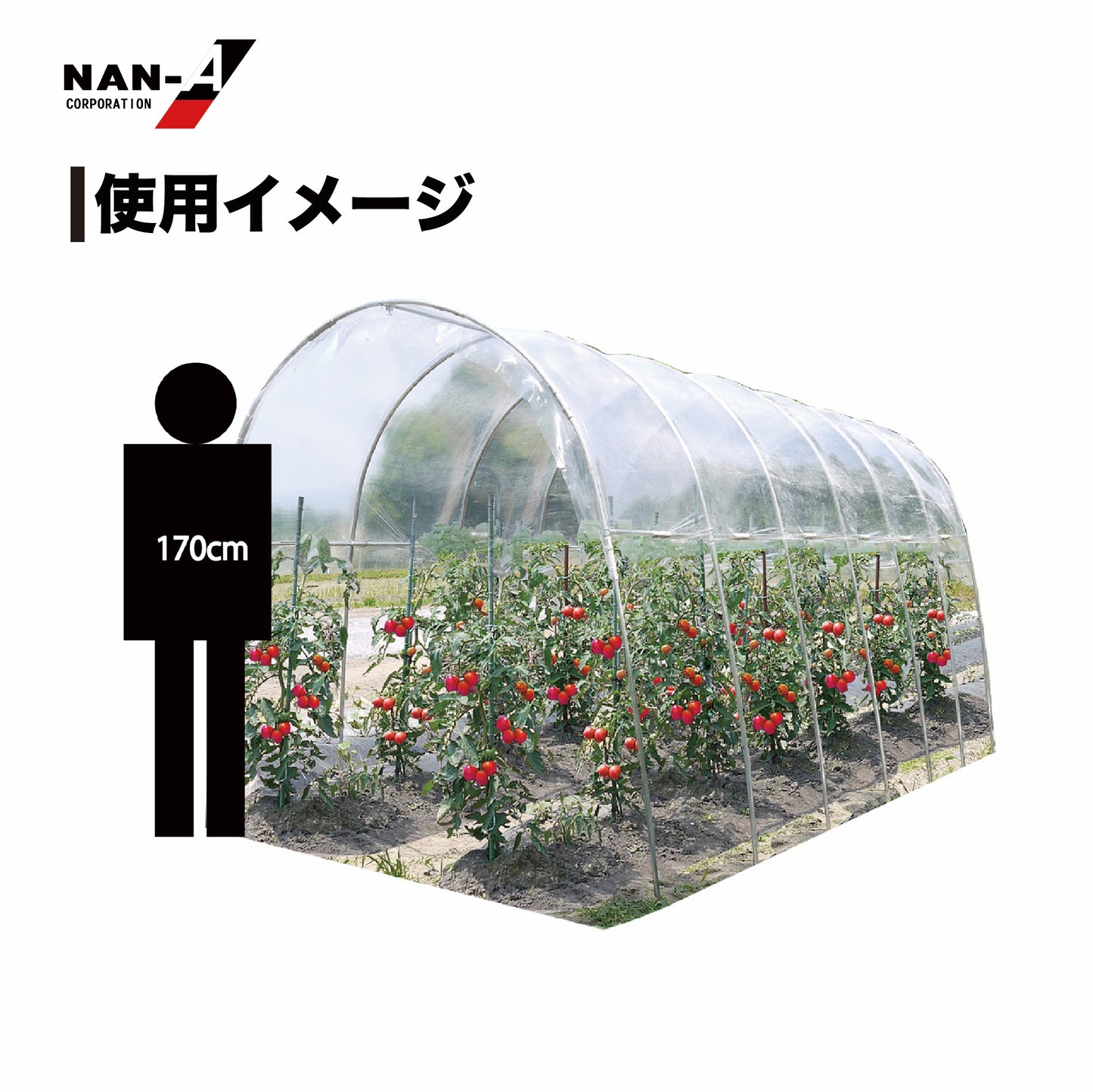4984665309660 雨よけハウス　2畝用 AM2253型（W:2200 × D:5300 × T:2190mm）