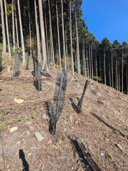 単木保護資材 育小苗 ソダチーナ 1.7Mタイプ（本体＋ネット＋FRP支柱セット）