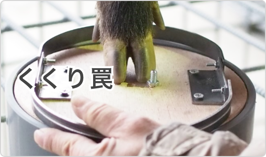 止め刺し 商品一覧|捕獲実績多数!鳥獣対策用品のイノホイ 止め刺し 商品一覧|捕獲実績多数!鳥獣対策用品のイノホイ