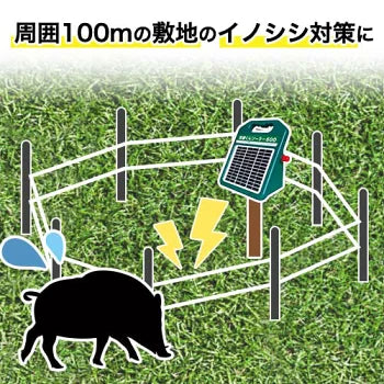 電気柵 防獣くんソーラー600 お手軽 100mセット(2段張） ネクスト